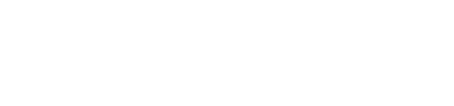 Cognito Agenda Logo White